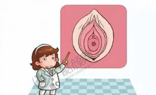 上海宏康医院做私密整形好