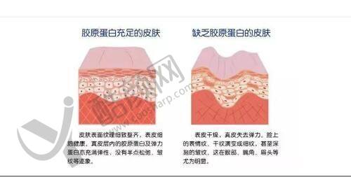 沈阳名流王莉莉医生简介
