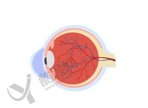七、武汉何氏精益眼科开展的主要项目和特色项目：