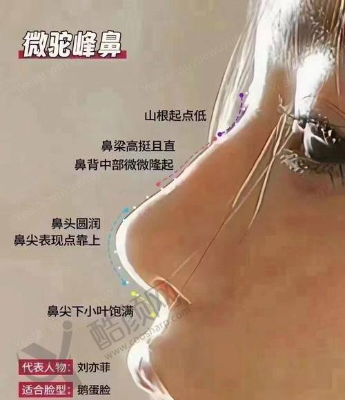 六、温州韩美整形医院价格表：（仅供参考）