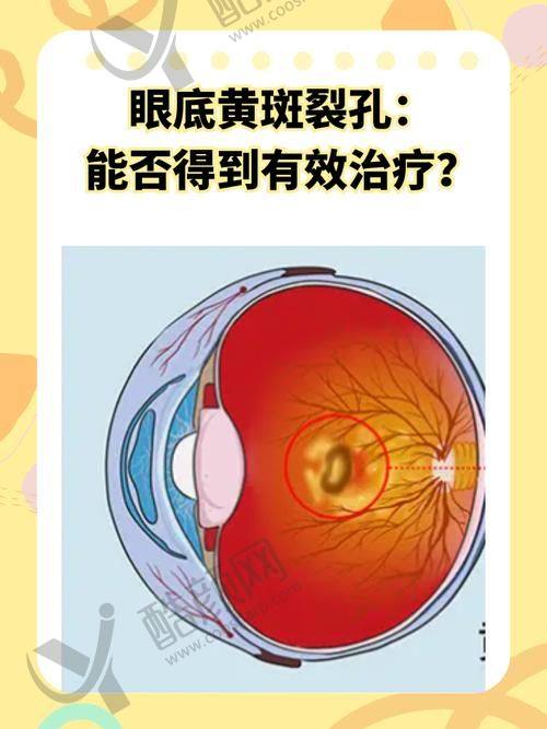 三、大连何氏眼科医院医生介绍