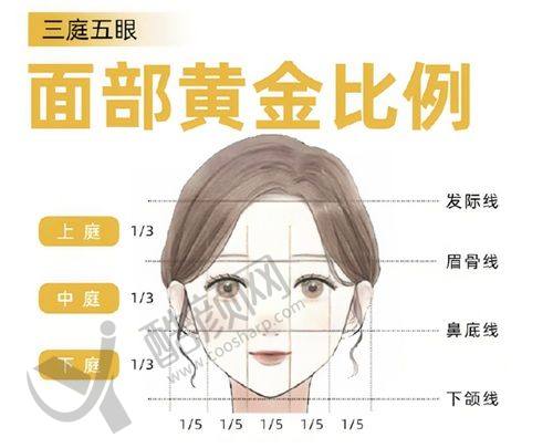 四、日照壹美天成医疗美容医院基本信息
