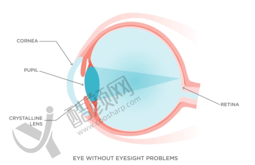 四、保定鹰华眼科医院基本信息: