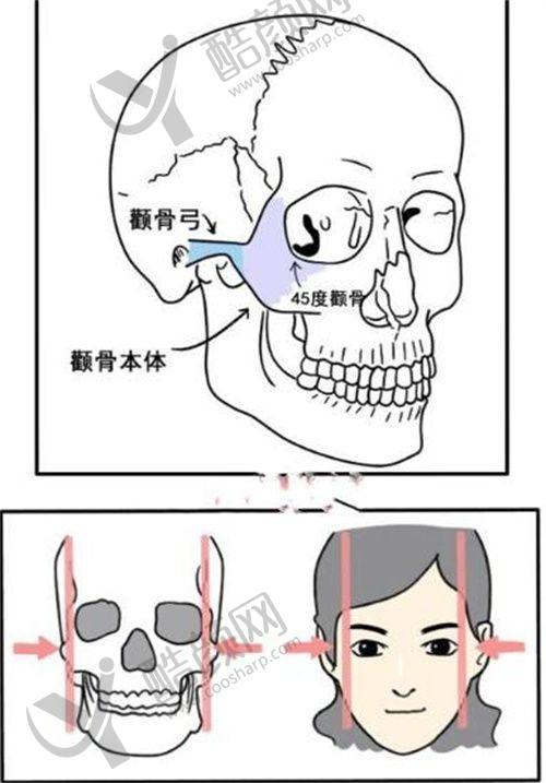 成都八大处陶俊医生简介