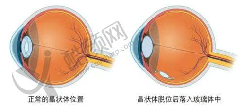 五、兰州臻韩美学医学美容门诊部怎么预约：