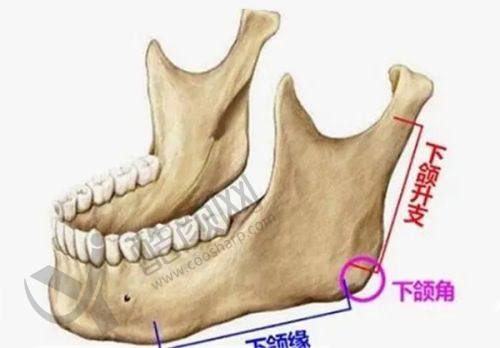 北京伊美尔医疗美容:性价比与口碑兼备