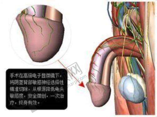 淄博阳光美容医院:技术与材料双保护