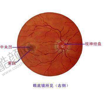 同仁眼科魏文斌医生个人资质