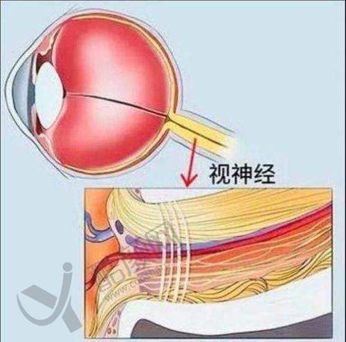 同仁眼科魏文斌医生简介
