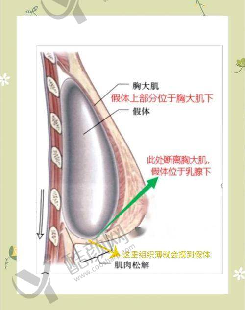 南京美莱夏建军医生个人资质