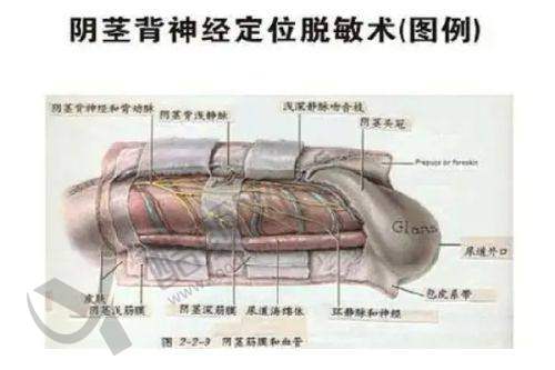 三、新疆喀什昕整医疗美容门诊部医生介绍: