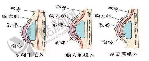 二、周口缔莱美医疗美容门诊部正规吗？来看看医院资质：