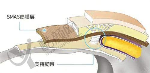 成都艾特他整形外科医院(原韩妃):排名第四,特色项目突出