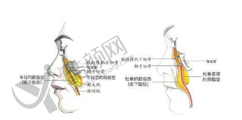 西宁美莱馨怡整形美容医院的医生团队