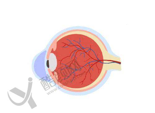 六、苏州光明眼科医院价格表：（仅供参考）
