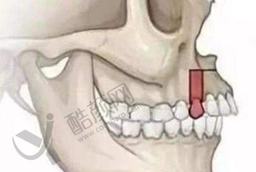 二、广州德仁口腔门诊部正规吗？来看看医院资质：