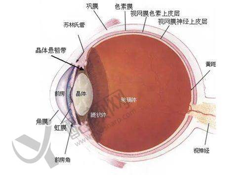 徐州华厦眼科医院的其他优点
