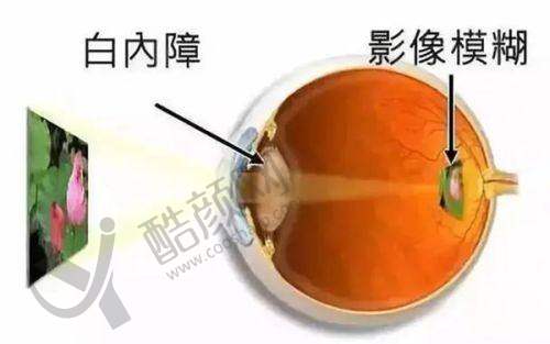 上海和平眼科医院郭海科医生个人资质