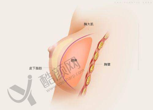 上海江城皮肤医院疤痕整形项目真实评价