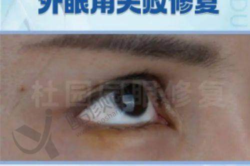 四、东莞东城紫芯医疗美容门诊部基本信息：