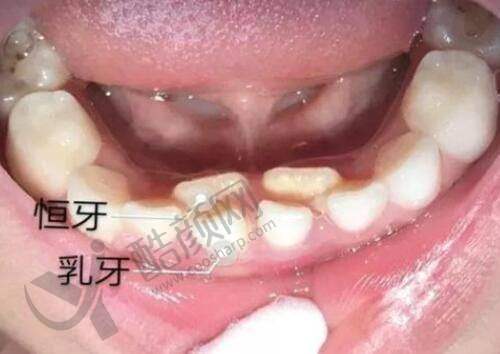 王锦文医生:多领域的整形行家