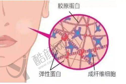 四、昆明杰西艾整形外科医院基本信息：