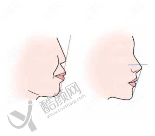价格透明与预算规划