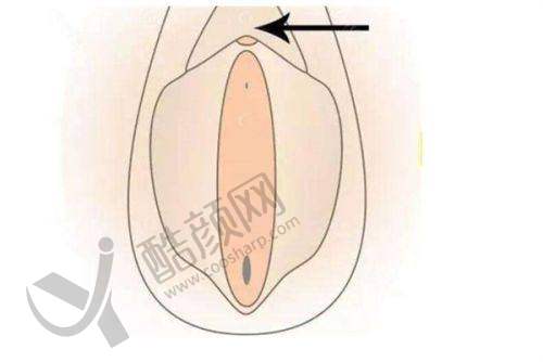 二、深圳大学总医院整形科正规吗?来看看医院资质: