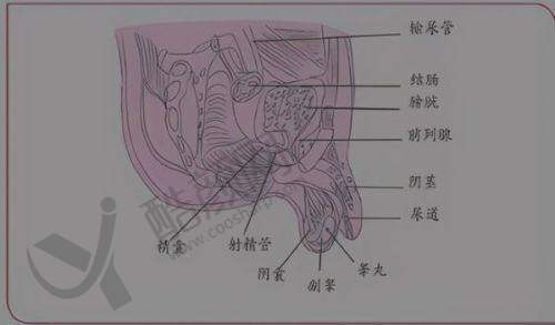 六安市人民医院整形科的价格与口碑