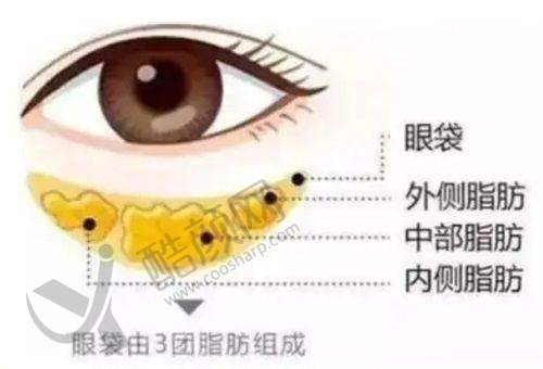 二、杭州健丽（去眼袋）医疗美容诊所正规吗？来看看医院资质：