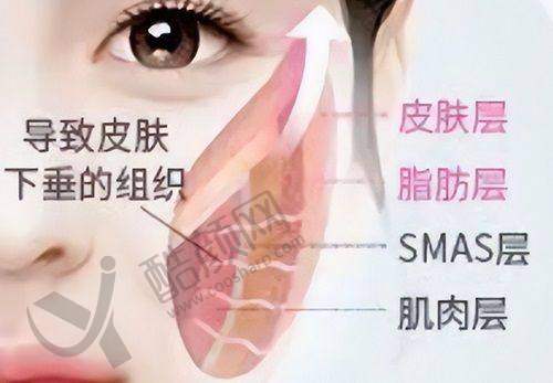 李晓东医生简介