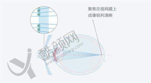 二、保定市第一中 心医院眼科正规吗？来看看医院资质：