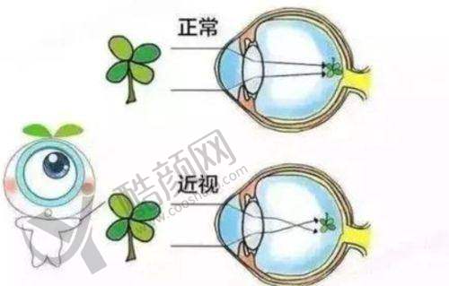 三、昆明康特森眼科医院医生介绍: