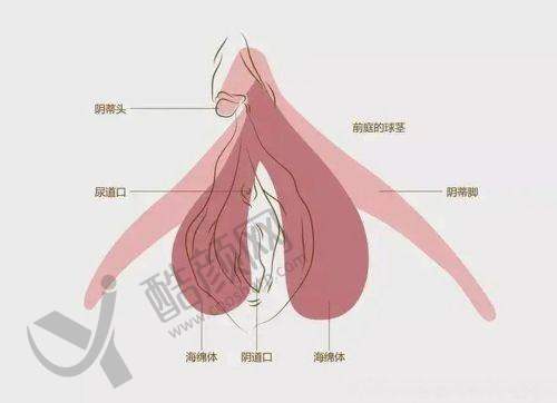 李峰永医生的真实的患者评价如下：