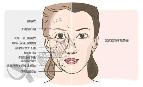 二、邯郸第七医院整形科正规吗？来看看医院资质：