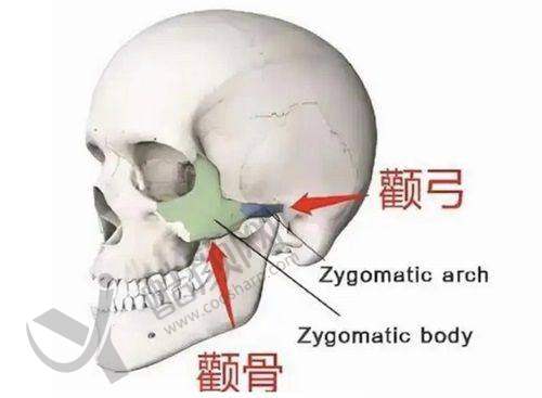 五、常州美贝尔美容医院基本信息：