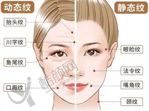 与其他填充材料对比优势