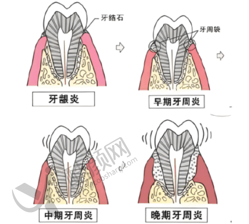 三、德州可恩口腔医院（德州口腔医院）医生介绍: