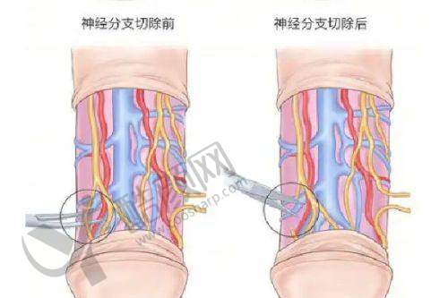 四、深圳名丽医疗美容医院实例
