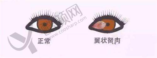 二、重庆大坪医院眼科正规吗？来看看医院资质：
