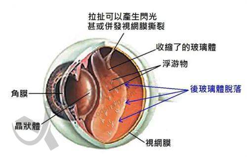 乐山爱尔眼科近视手术医生：技术不错，经验多