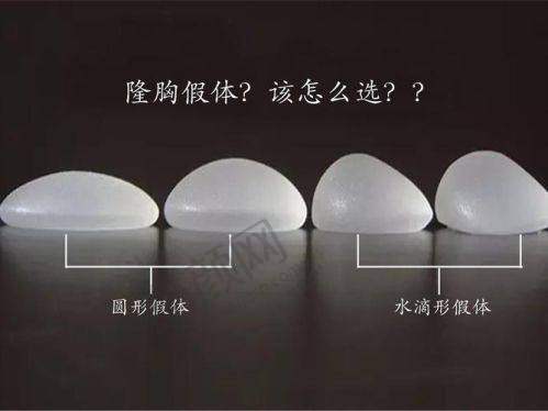 朱云个人资质