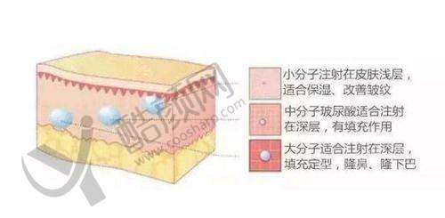 二、承德玥莱美医疗整形医院正规吗？来看看医院资质：