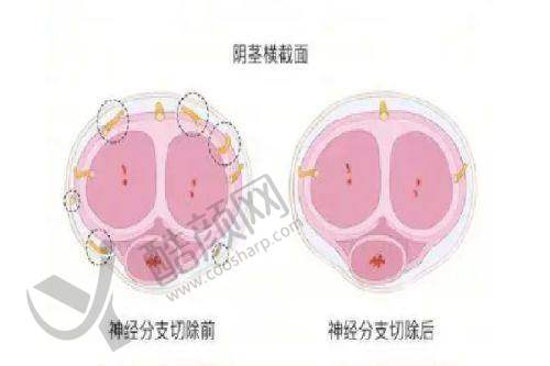 七、三亚美大夫丽格医疗美容门诊部真实的顾客评价如下：