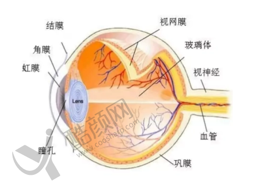 杭州爱尔眼科医院的地址和路线
