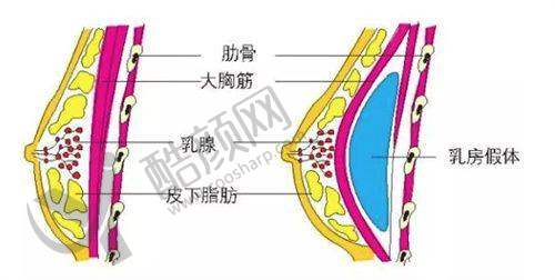 七、广州雅贝壹医疗美容门诊部价格表：（仅供参考）