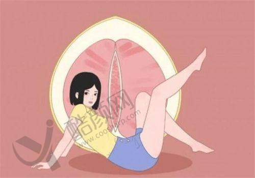 段艳军怎么预约？