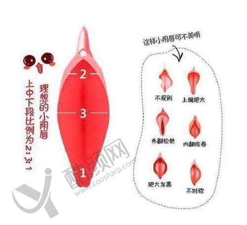 八、合肥民众医院私密科真实的顾客评价如下：