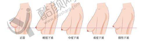 首尔丽格的高端技术特点