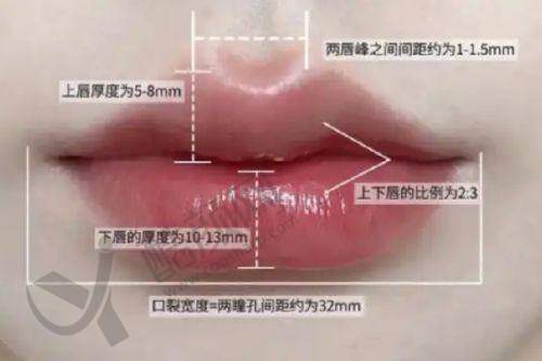 广西爱思特整形外科医院价格与预约